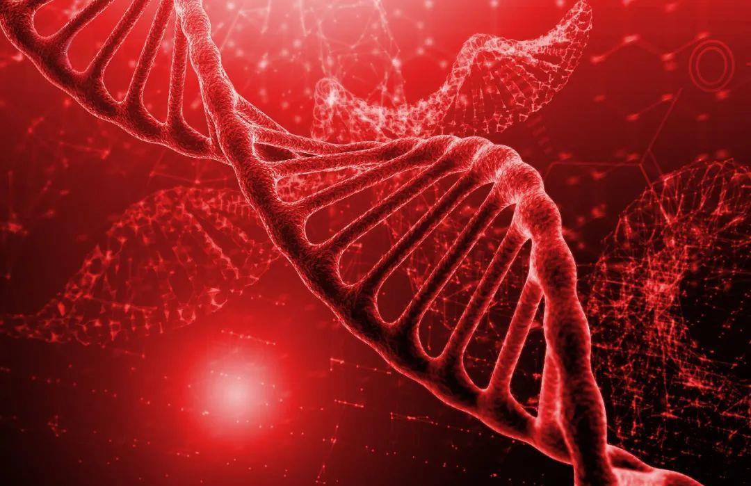 Case Study: Gene Therapy for Beta-Thalassemia (RM-001)