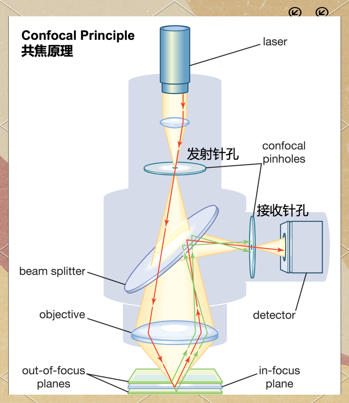 泓川科技光谱共焦传感器：破解陶瓷片双面差异厚度测量难题