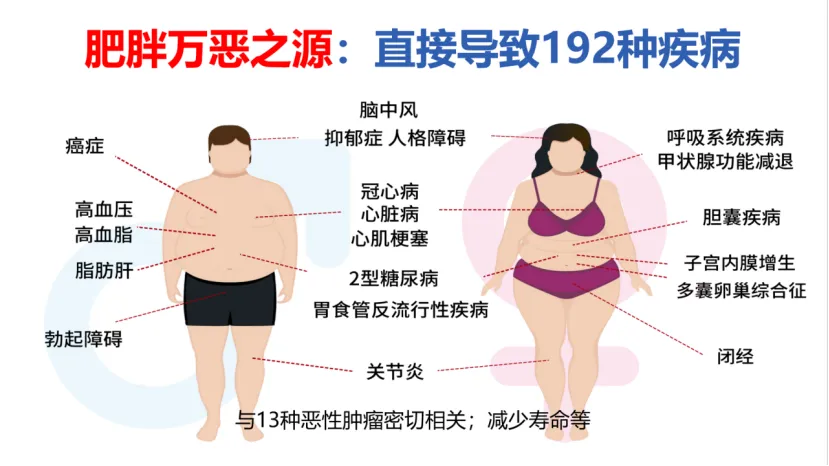 案例分享|“2T疗法”破解肥胖代谢危机! 案例分享|“2T疗法”破解肥胖代谢危机!