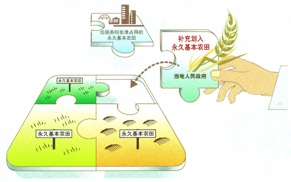 占用永久基本农田的应该怎样补划？