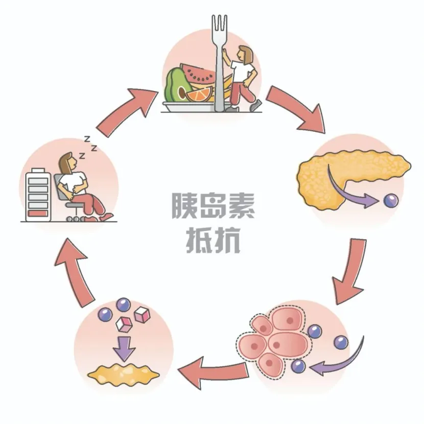 大众科普|糖尿病告别终身服药! 用“2T疗法”唤醒胰岛细胞,血糖稳稳降下来! 大众科普|糖尿病告别终身服药! 用“2T疗法”唤醒胰岛细胞,血糖稳稳降下来!