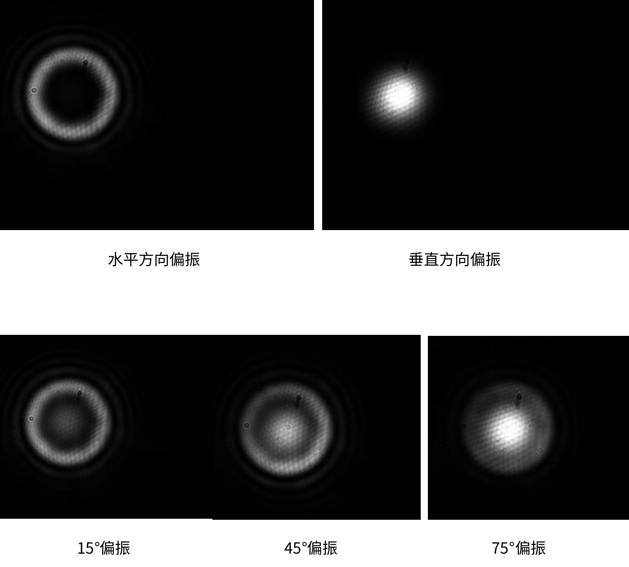 偏振角度对光束调制的影响