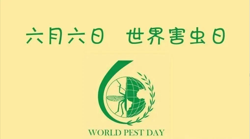 看不见的威胁,看得见的守护 | 世界害虫日,卫民在行动 看不见的威胁,看得见的守护 | 世界害虫日,卫民在行动