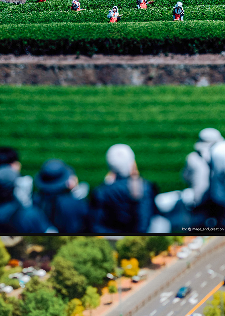 50mm F1.4 T/S