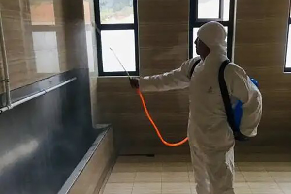 四害消杀时如何避免环境污染?绿色消杀怎么做? 四害消杀时如何避免环境污染?绿色消杀怎么做?
