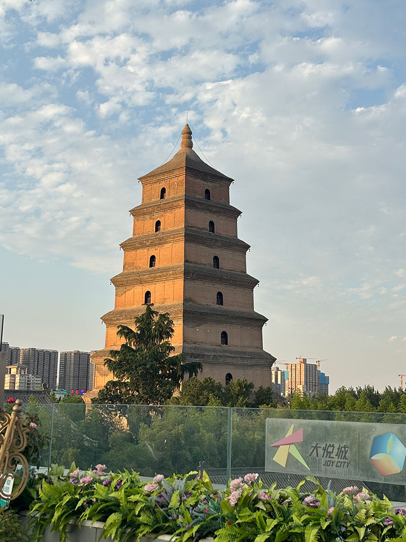 理加联合年中旅游——二十载春秋,共赴长安之约 理加联合年中旅游——二十载春秋,共赴长安之约