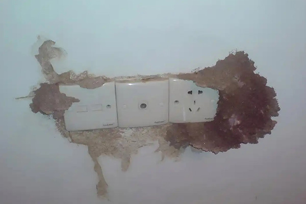 房屋整体怎样做防白蚁预处理才能更长效安全? 房屋整体怎样做防白蚁预处理才能更长效安全?