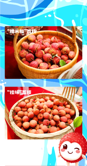 区区3万天，试试又能怎？ | 鼎禾盛×金禧宝荔元气荔枝节轻松实现荔枝“自由”！