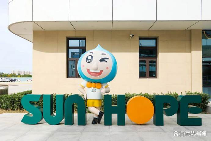 Sunhope | Digital rebirth of direct marketing logic: penetrate the noise and grasp the core of commercial fission Sunhope | Digital rebirth of direct marketing logic: penetrate the noise and grasp the core of commercial fission