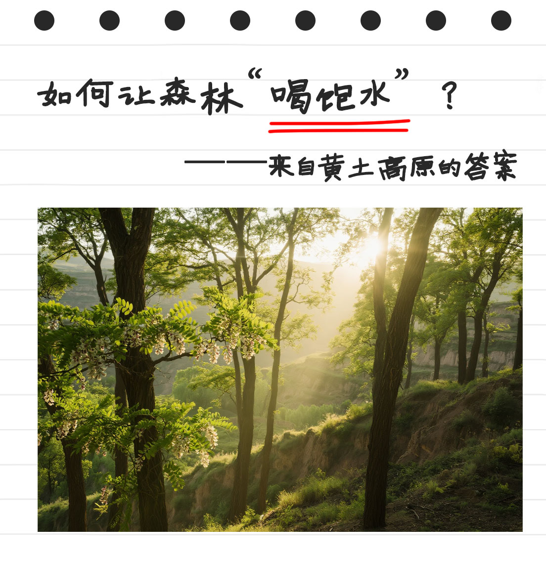 LI-2100 | 如何让森林“喝饱水”？——来自黄土高原的答案