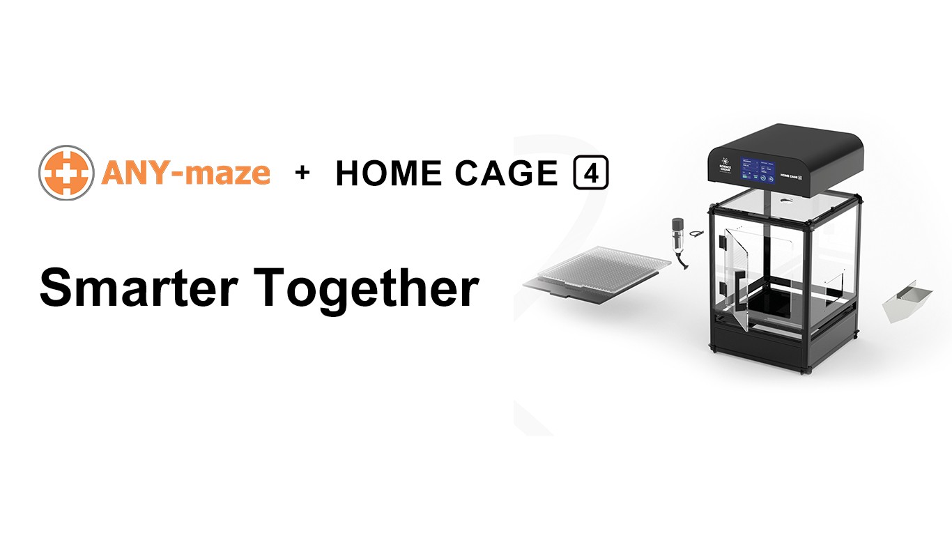 Home Cage 4 智能实验笼系统