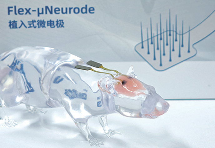 Flex-μNeurode植入式阵列电极（犹他电极）