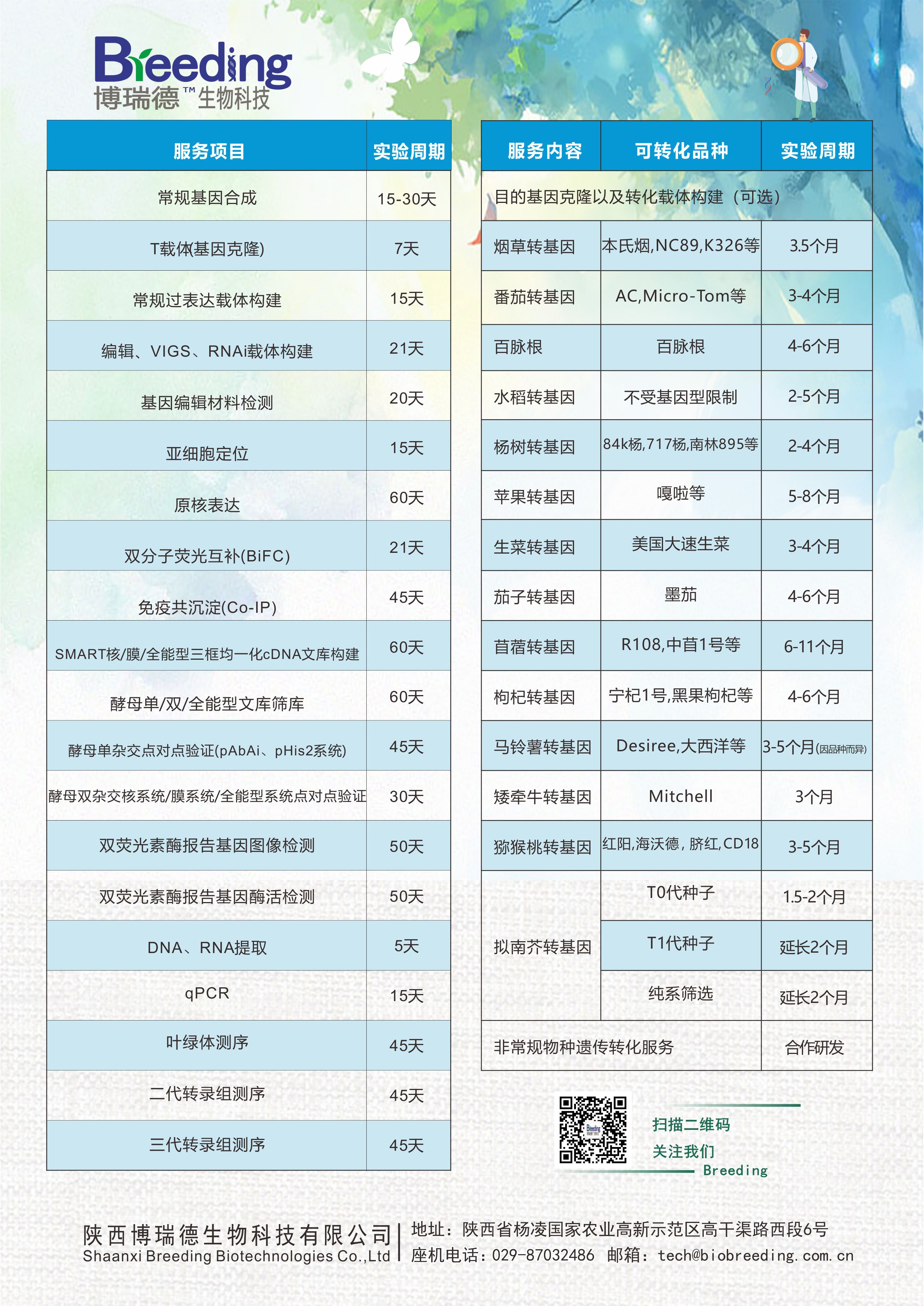 促销活动