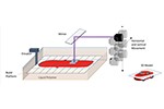Prodways: the Future of Industrial 3D Printing Looks Bright – Literally