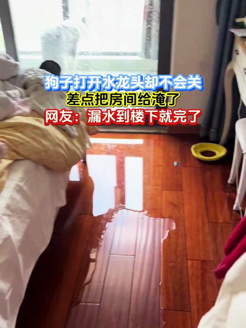 暴雨来袭，地下室/家里秒变‘游泳池’？这个设备能救你几十万！