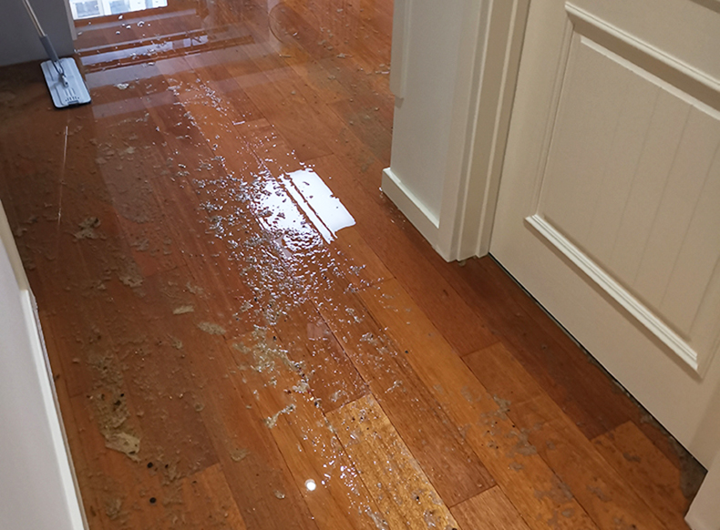 暴雨来袭，地下室/家里秒变‘游泳池’？这个设备能救你几十万！