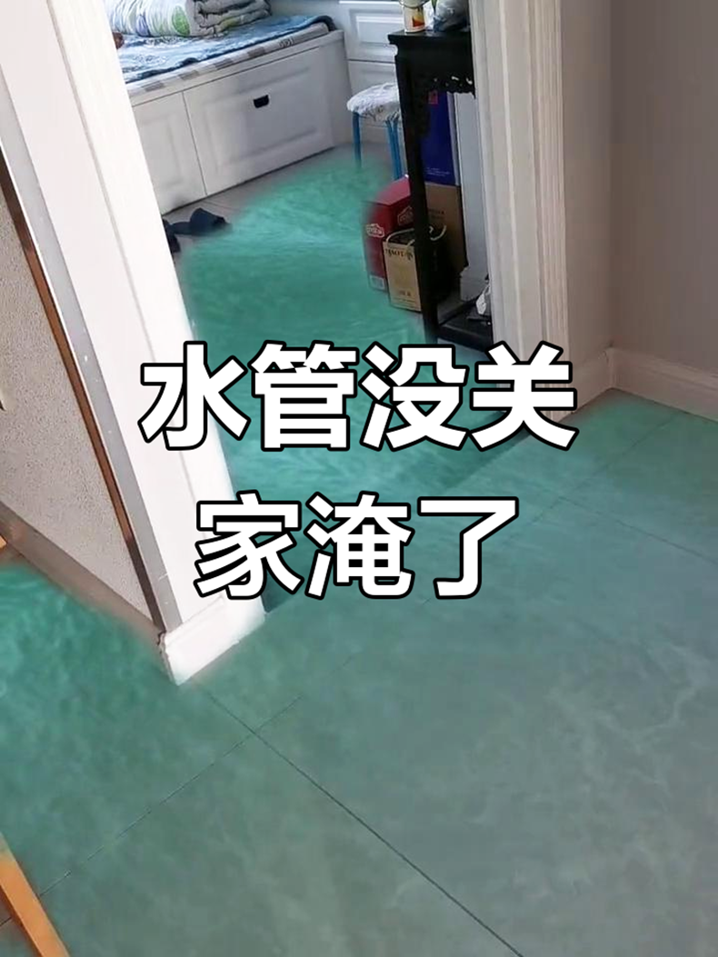 暴雨来袭，地下室/家里秒变‘游泳池’？这个设备能救你几十万！