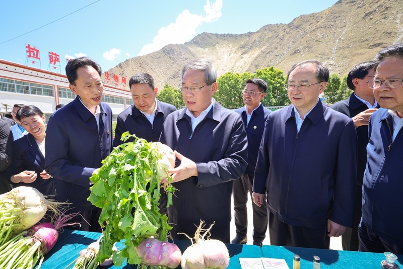 李强在西藏调研时强调:高质量实施国家重大工程项目 推动经济社会发展 增进各族人民福祉 李强在西藏调研时强调:高质量实施国家重大工程项目 推动经济社会发展 增进各族人民福祉