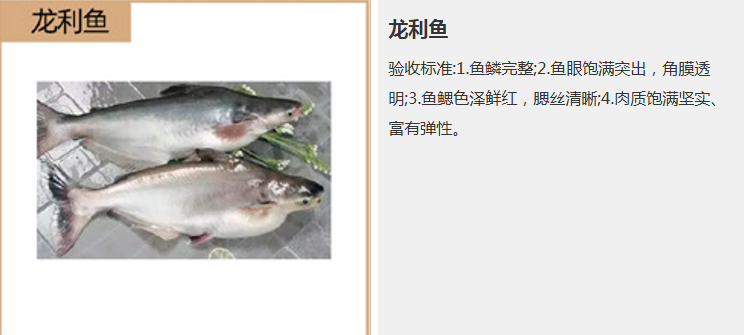 新鲜鱼虾配送 新鲜鱼虾配送
