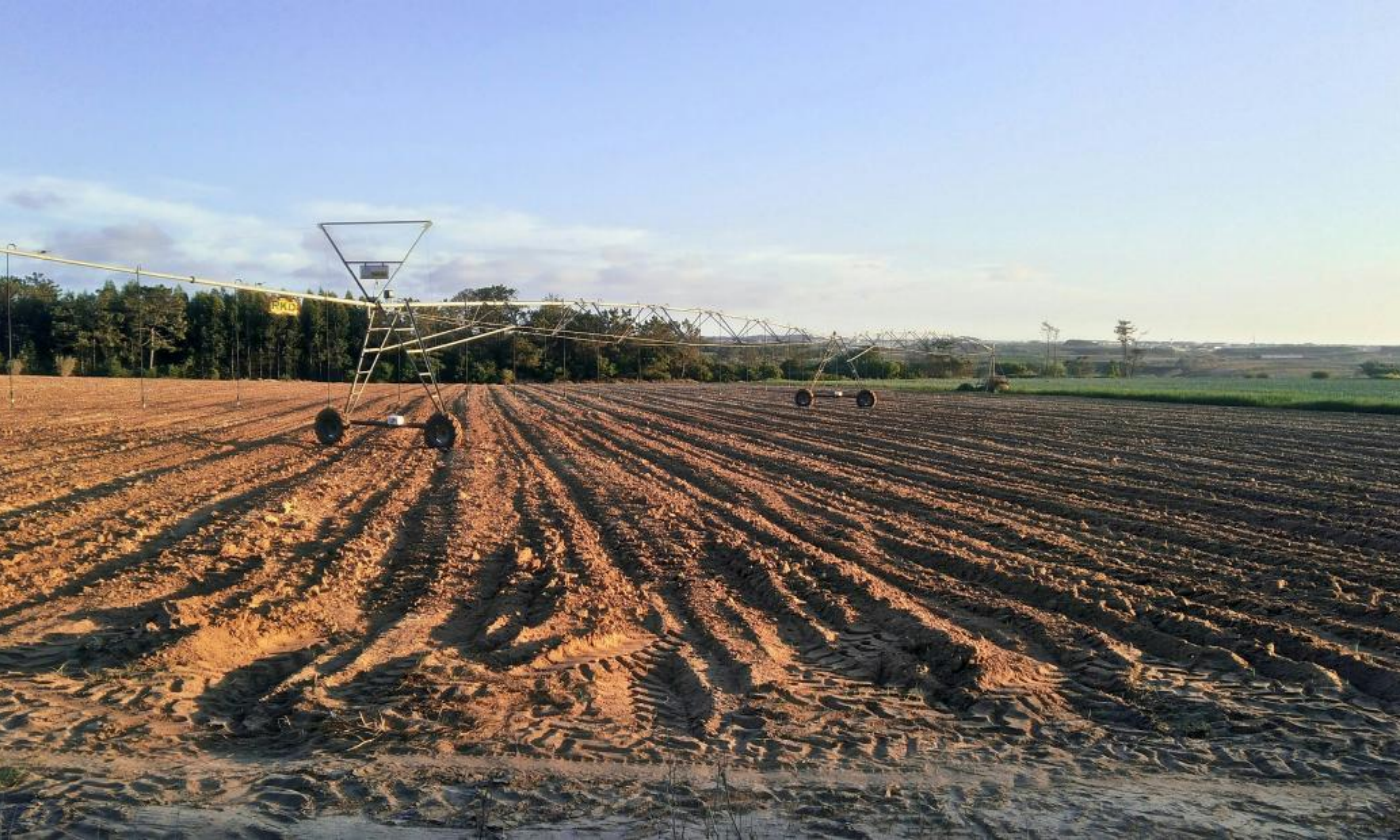 Practical Applications of Sodium Persulfate in Soil Remediation