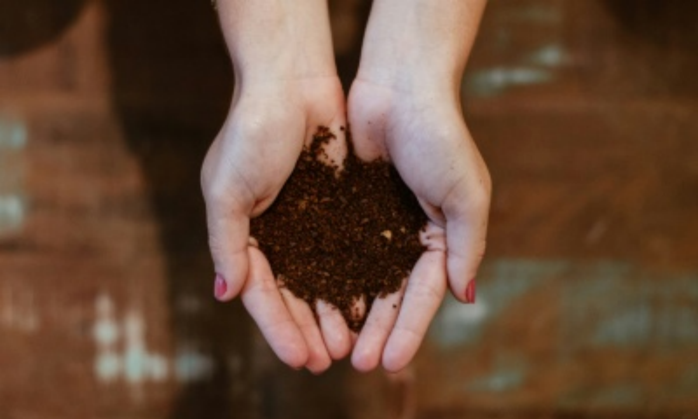 Why Does Sodium Persulfate Exhibit Superior Degradation Efficiency in Remediating Organically Contaminated Soils?