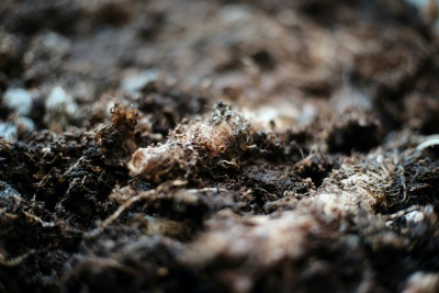 Cracking the Puzzle of Organic Pollution: Unveiling the Efficient Remediation Mechanisms of Sodium Persulfate Cracking the Puzzle of Organic Pollution: Unveiling the Efficient Remediation Mechanisms of Sodium Persulfate