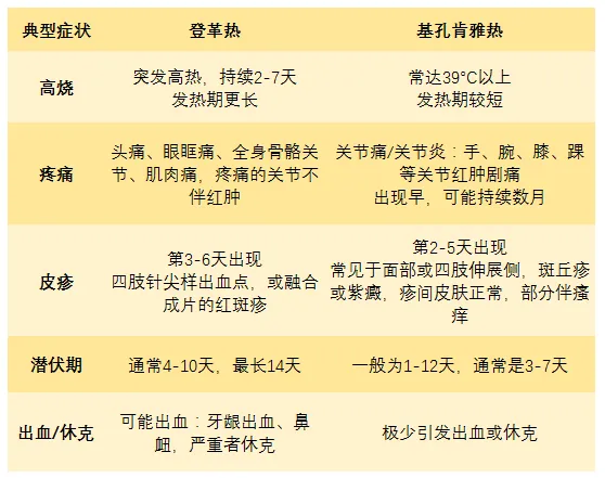 紧急提醒:基孔肯雅热禁用这种常见药!或加重关节损伤 紧急提醒:基孔肯雅热禁用这种常见药!或加重关节损伤