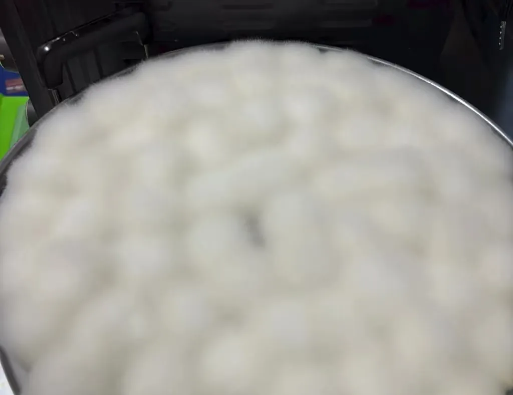 应用案例｜揭秘霉菌的纳米宇宙