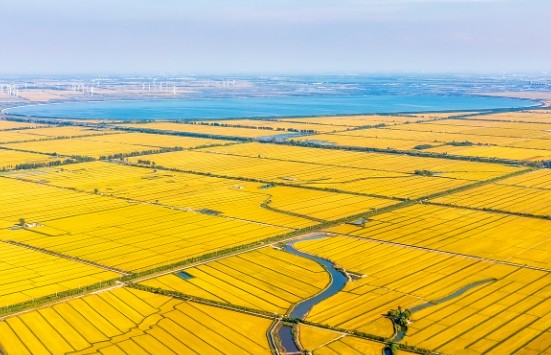 什么是土地勘测定界