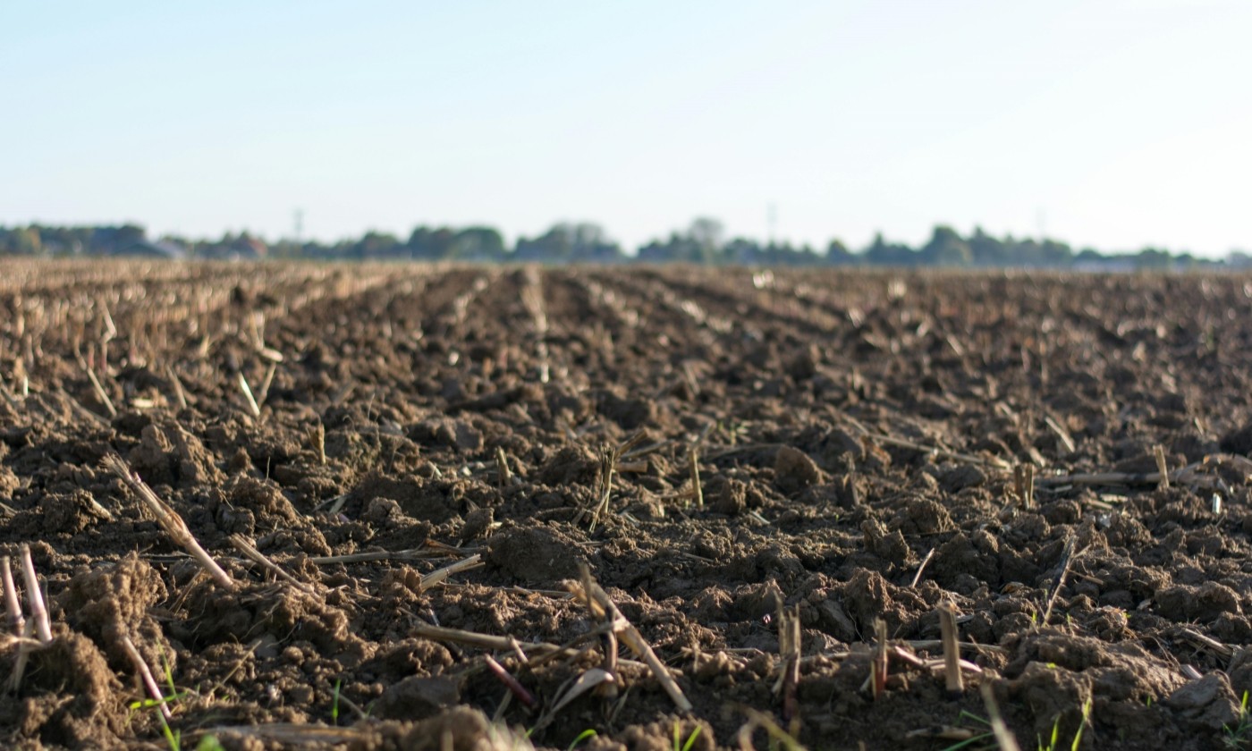 Why Choose Sodium Persulfate for Soil Remediation? Unveiling Its 3 Core Remediation Advantages