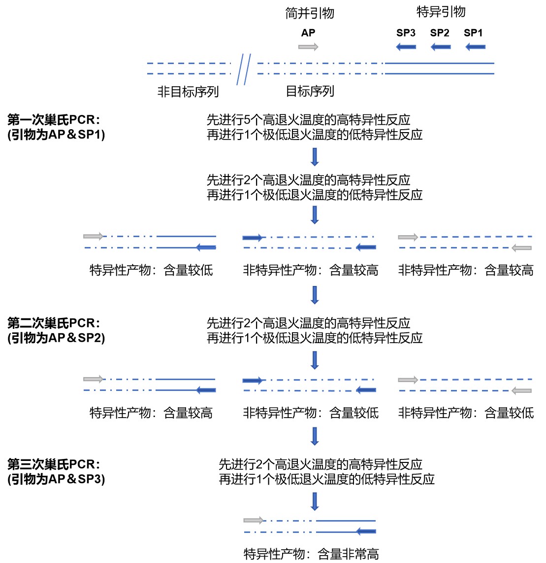 染色体步移技术服务